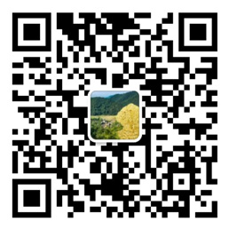 彩神VII购彩中心